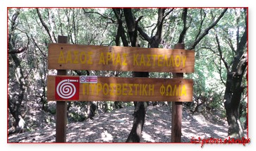 273_brandbord