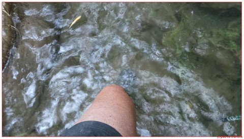 ondiep water